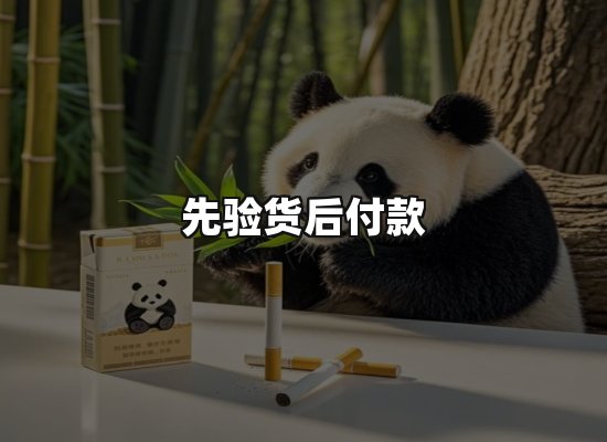 专业优势